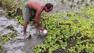 Sirajol Chacha Ban Siche fishing method Lost Fishing Culture Of Village People