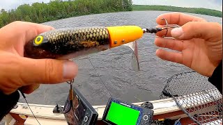 Topwater MUSKY EPIC Feeding Window!!