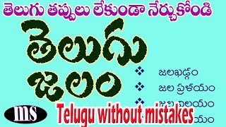 తెలుగు జలం| తెలుగులో తప్పులు లేకుండా రాయడం ఎలా?|తెలుగు పదసంపద |TELUGU WITHOUT MISTAKES| LEARN TELUGU