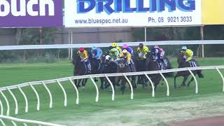 Hannans Handicap 2024 - VAST ART (3YO+ Hcp LR) Listed Kalgoorlie 2 October