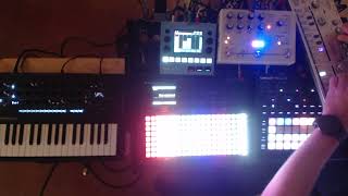 Live DAWless set - Polyend Play, CT, TT303, Hologram Microcosm, Miniloguexd,