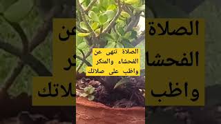 الصلاة_الصلاة_الصلاة