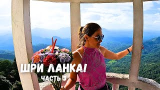 Шри-Ланка! Центр острова! Что посмотреть?!