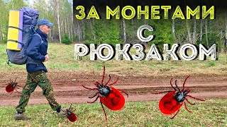 Монеты в корнях-Клещи на ногах! За монетами с рюкзаком!