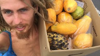 HAWAII // FRUITARIAN VLOG #2