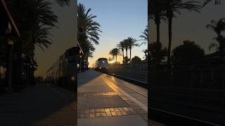 F59 at sunset #traintravel #railwayline #travel