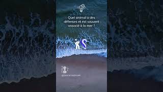 Quel animal a des défenses et est souvent associé à la mer ? #shorts