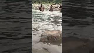 Swimming skills Test #Bategada #villagelife #shortvideo #riders #Mithalal #news