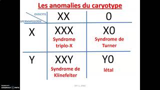 Les accidents génétiques de la méiose