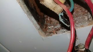 SALTO Intempestivo del DIFERENCIAL. Cómo Hallar el problema? Experiencia del ELECTRICISTA