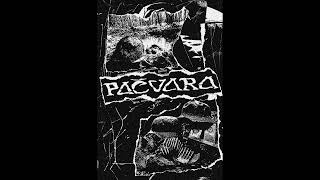 PAČVARA - S/T [2024]