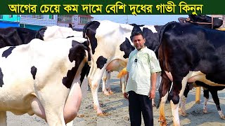 দুধ কম হলে টাকা ফেরত বেশি দুধের গাভী গ্যারান্টি সহ নিতে পারেন dairy farm