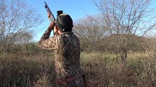 SOLO TIROS!! El Fuerte Dove Hunt Mexico 2020 | Epic Shots