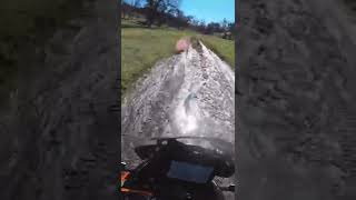 KTM 1290 Water Crossing