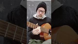 Chitarra solo. istruzioni per l'uso