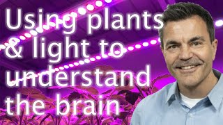 Optogenetics: light, plants and the human brain - John Christie