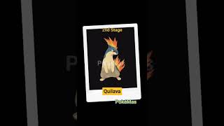 Evolution of Cyndaquil |#25|PokeMas| #pokemon