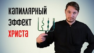 Капиллярный эффект Христа || Batushka ответит || Блогословие