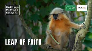 Leap of Faith: Chakrasila | Stories from the Ground: Northeast India | The Habitats Trust Films