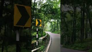 Nature in Monsoon..Forest Roads  #youtubeshorts #travel #naturelover