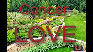 Cancer LOVE - You are nervous about how great this is