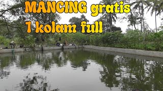 KAPAN LAGI MANCING 1,6 JUTA GRATIS 1 KOLAM FULL