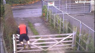 DHL Courier So ‘Scared’ When Dog Barks He Flings Himself Head First Over Gate | | Dogtooth Media