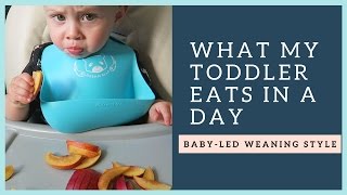 What my 1 year old eats in a day