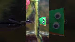 Pt 2 of how to tie the “Simp Frog” #flytying #fishing #flyfishing #tutorial #shorts #topwater