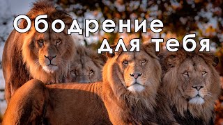 Ободрение для тебя I Андрей Видривский