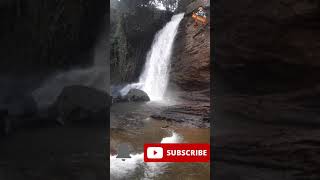 Wayanad Vlog - Waterfalls 🏞️ -  #shorts #wayanad #travel