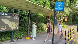 *Tour of Sentosa Island , Singapore