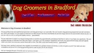 Dog Groomers In Bradford & Bradford Dog Grooming Services