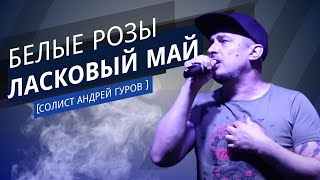 Ласковый Май (Солист Андрей Гуров ) - Белые розы.