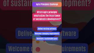 Challenge Your Agile Principles | The Ultimate Test of Agile Wisdom!