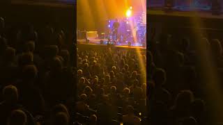 Fan enjoying Brit Floyd in Elmira #youtubeshorts #concert #livemusic #pinkfloyd