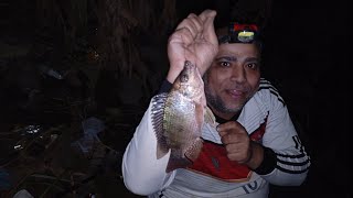 النيل اشتغل يا صيادين والمياه في نزول جامد (Nile fishing Egypt)