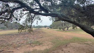 Promenade aux alentours de l'abbaye de Saint-Michel de Frigoler. (deuxième partie 4k60)