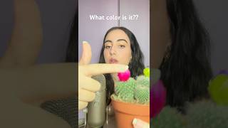 Tell me the colour!!!🩷💚🧡💜💤💤 #asmr #tingly #asmrcommunity #relax #asmrvideo #tapping #tingles