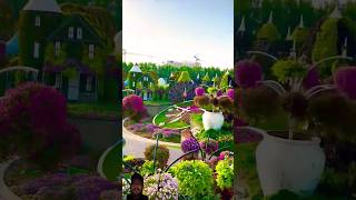 Worlds largest beautiful natural flowers garden 💐🌻♥️🌺🌹🥀🧚‍♀️💐🌹🌺#shorts #viral #youtube #love #song