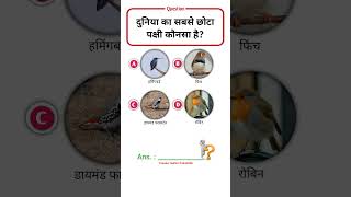 दुनिया का सबसे छोटा पक्षी || Gk Quiz #shorts