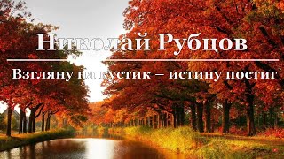 Николай Рубцов - Взглянул на кустик - истину постиг