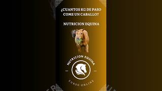 ¿Cuántos kg de pasto come un caballo? #caballos #equinos #hipismo #horse #horselover #horses #polo