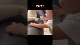 Cute😘 | Baby Playing With Cat | Friendship Video | #shorts #cute #friendship