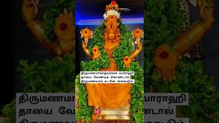 திருமண வரம் கைகூடும் #வார்த்தாளி #srivarahiammanhistoryintamil #varahiamman108potriintamil #வாராஹி