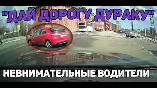 Автоподборка "Дай Дорогу Дураку"👨‍✈️ДТП#341