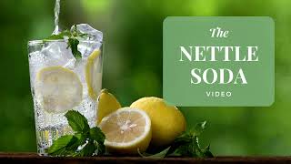 Nettle soda video