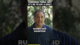 Forbidden Foods: What It Means to "Chew the Cud" #emanuelswedenborg #biblestudy #forbiddenfoods