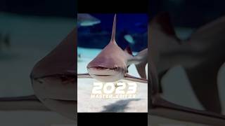 2023 Shark 🦈 VS 5000bc Shark 🦈🐬##