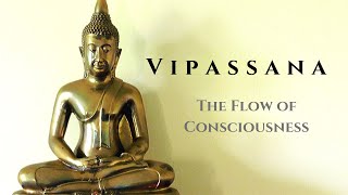 Vipassana #12 The Flow of Consciousness